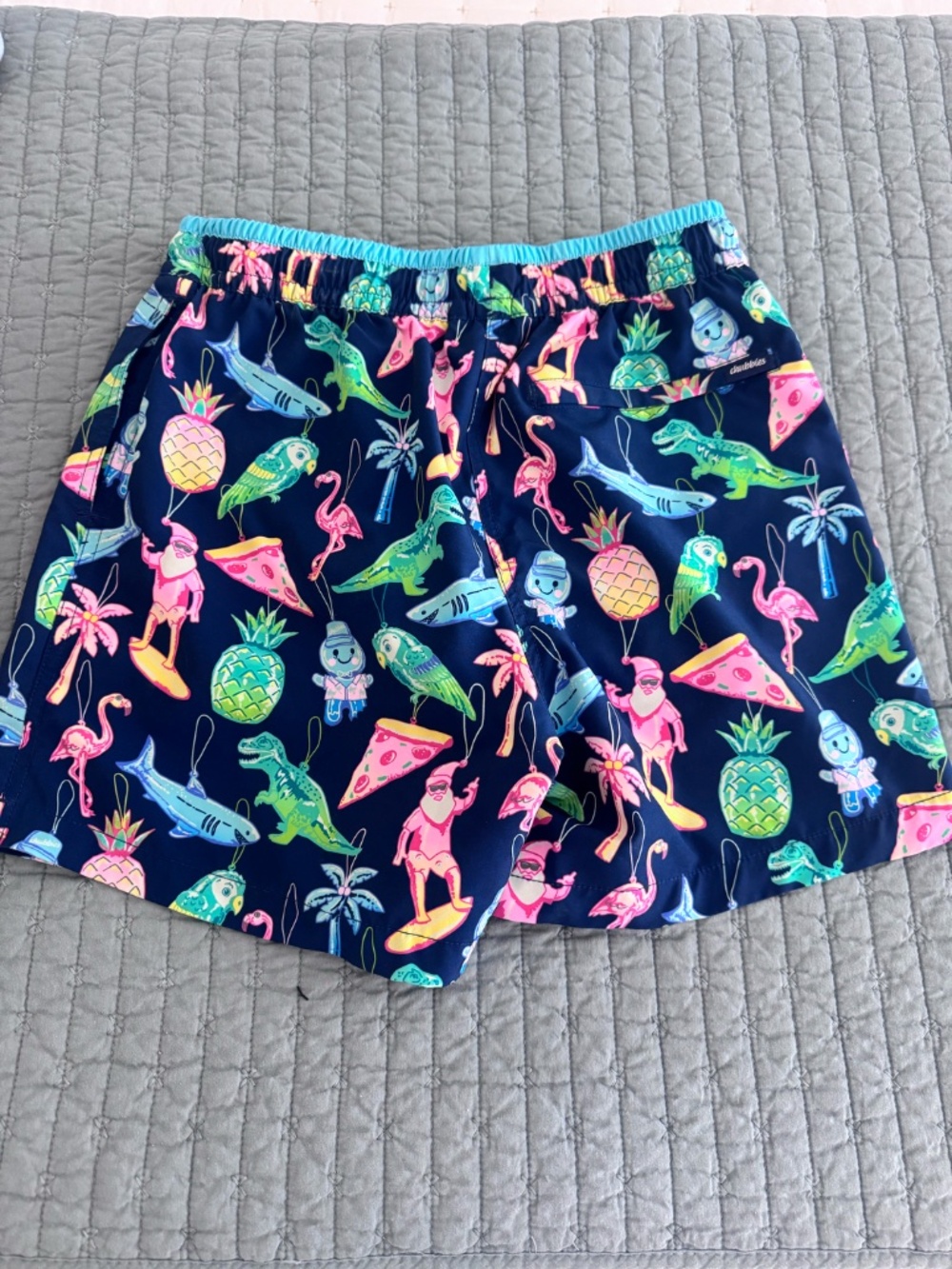 Chubbies - Picture 4 of 4